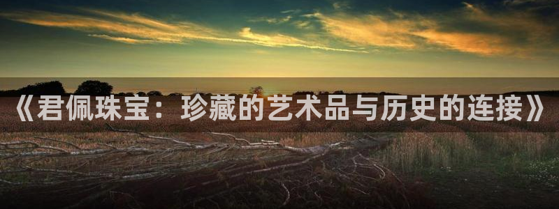 天宏娱乐3