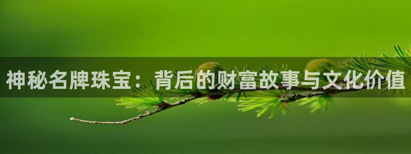 天宏娱乐股东