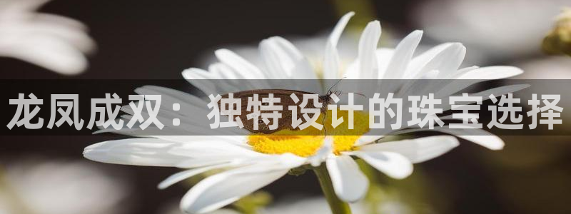 西安天宏娱乐直播间：龙凤成双：独特设计的珠宝选择