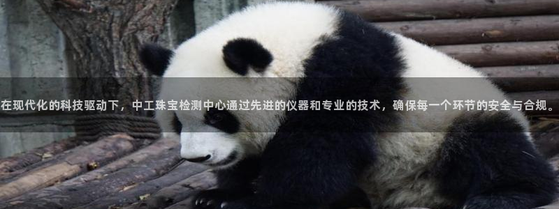 天宏娱乐会所电话号码