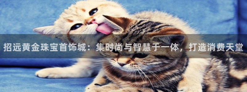 天宏娱乐登陆：招远黄金珠宝首饰城：集时尚与智慧于一体，打造消