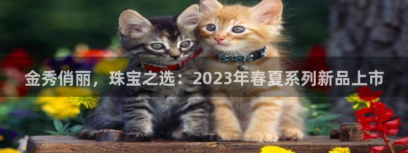 天宏娱乐河源店在哪里