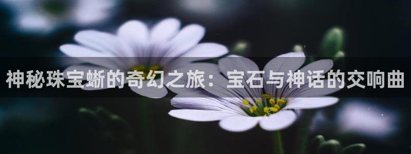 天宏娱乐可以提现吗