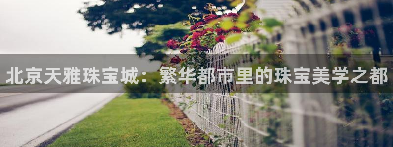 天宏娱乐宝叔
