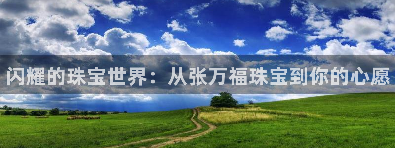 天宏娱乐星空大叔