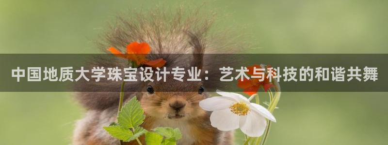 天宏娱乐秦叔的大哥：中国地质大学珠宝设计专业：艺术与科技的和