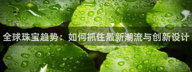 天宏娱乐老男孩成员