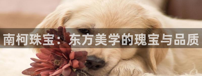 西安天宏娱乐老男孩事件