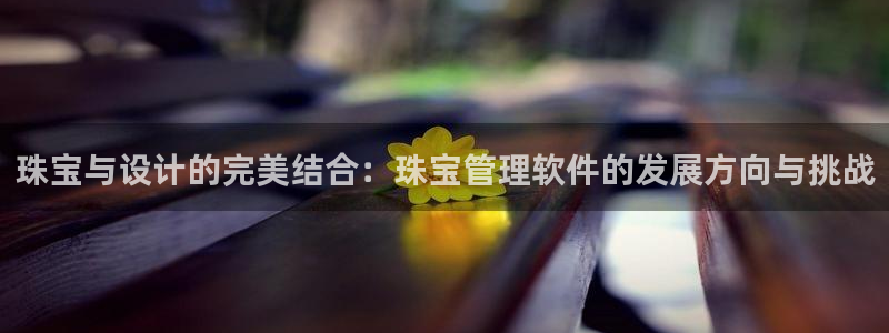 天宏娱乐团购：珠宝与设计的完美结合：珠宝管理软件的发展方向与