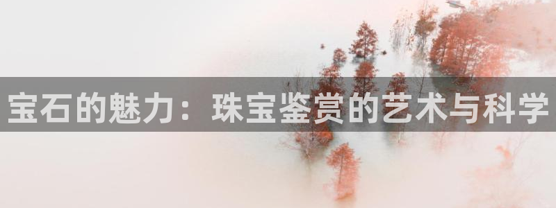 天宏娱乐小号是什么：宝石的魅力：珠宝鉴赏的艺术与科学