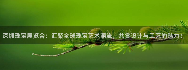 天宏娱乐直播