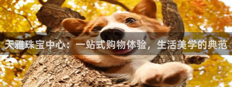 天宏娱乐玉海娱乐