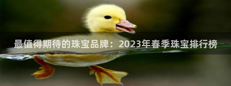 天宏娱乐男孩：最值得期待的珠宝品牌：2023年春季珠宝排行榜
