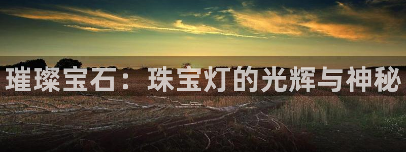 天宏娱乐是什么公司：璀璨宝石：珠宝灯的光辉与神秘