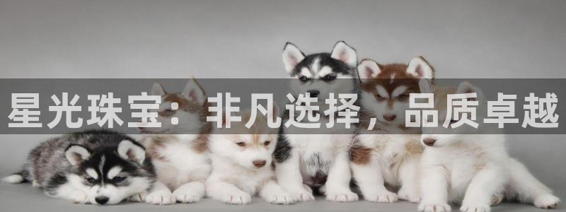 天亿娱乐宏发骗子