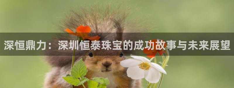 天宏娱乐直播在线观看高清