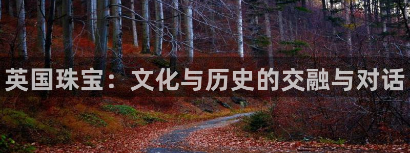 天宏娱乐老男孩团队