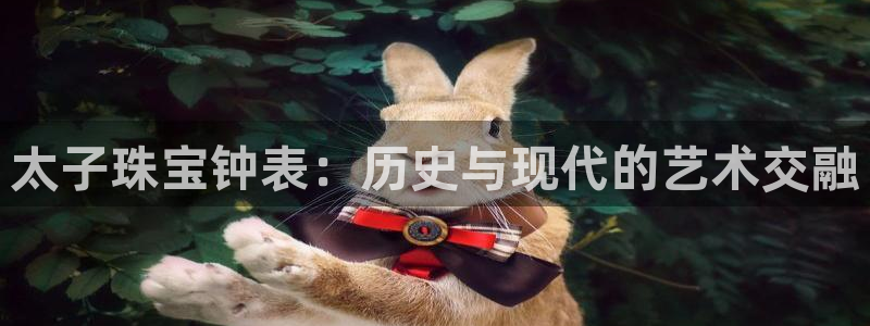 天宏娱乐a OO判官