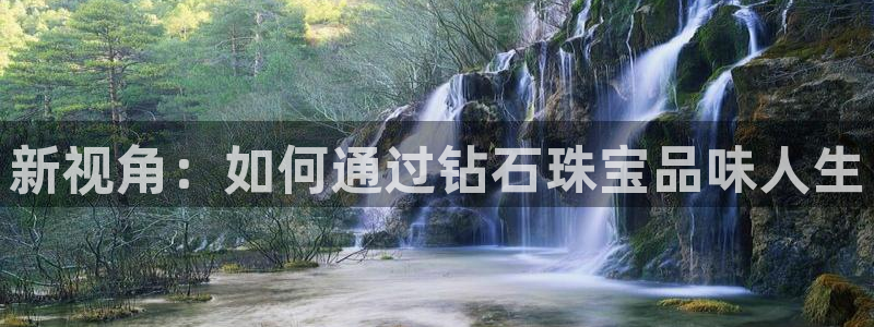 天宏娱乐金大叔