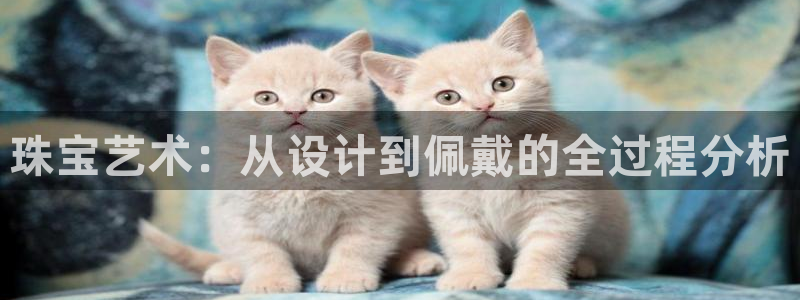 天宏娱乐直播在线观看免费