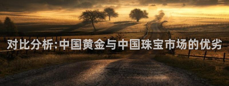 天宏娱乐直播团