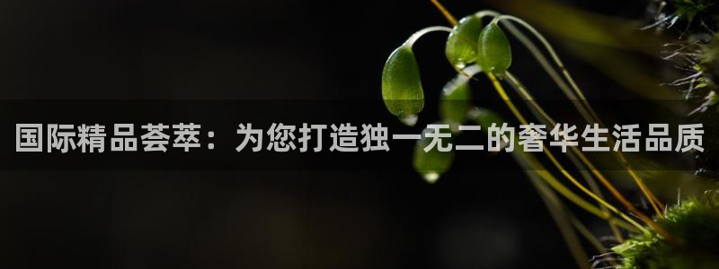 天宏娱乐app平台怎么下载