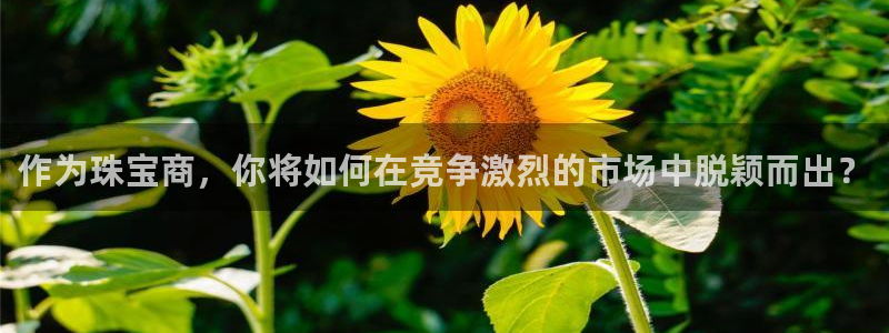 天宏娱乐团购活动时间