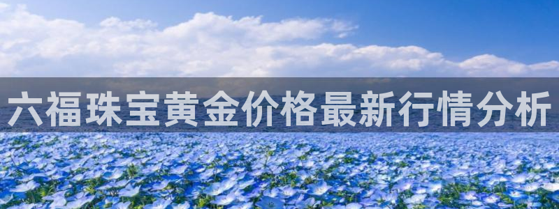 天宏娱乐大叔团成员