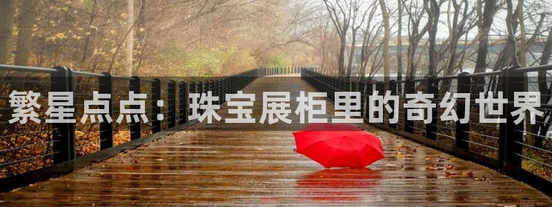 天宏娱乐app下载