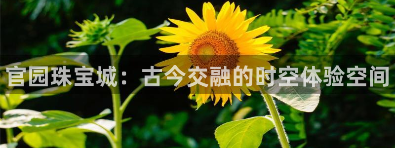 天宏娱乐官网平台注册