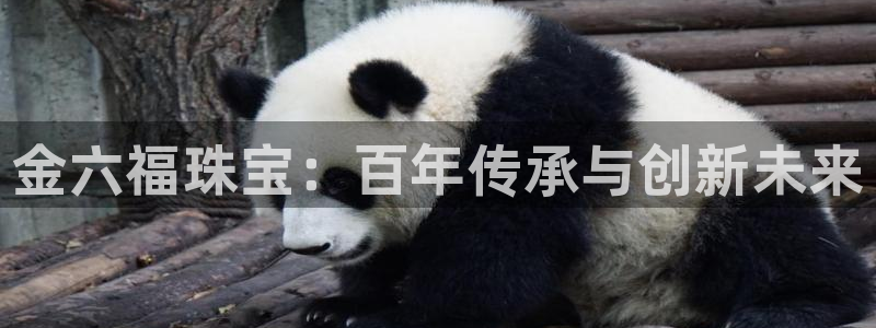 天宏娱乐老男孩直播：金六福珠宝：百年传承与创新未来