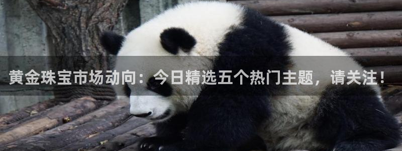 天宏娱乐传媒岳阳：黄金珠宝市场动向：今日精选五个热门主题，请