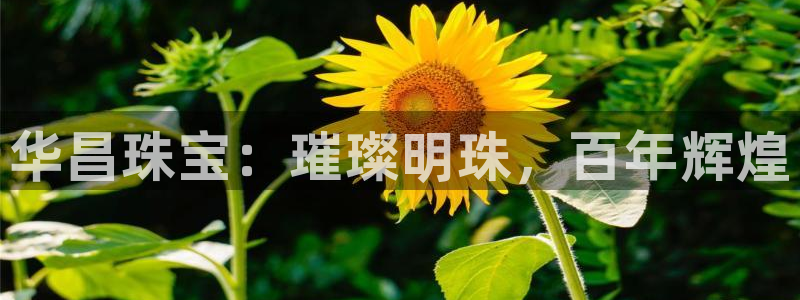 天宏娱乐指尖下