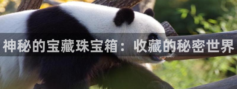 天宏娱乐大叔团唱歌