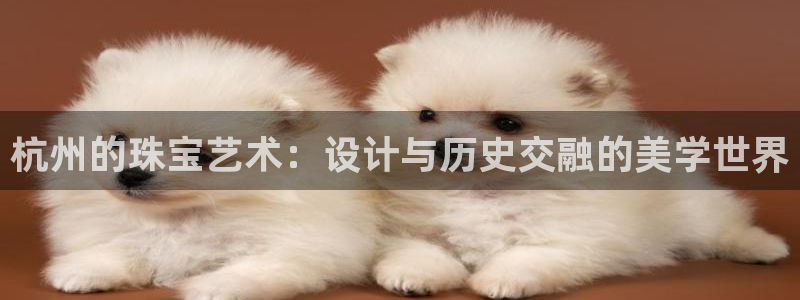 天宏娱乐 直播间