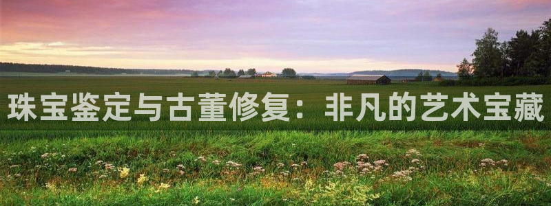 扬州天宏娱乐公司