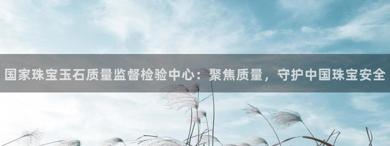 快手天宏娱乐是什么