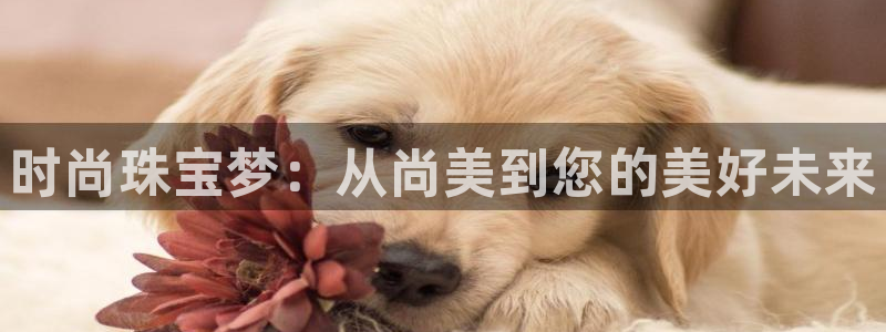 天宏娱乐石叔简介