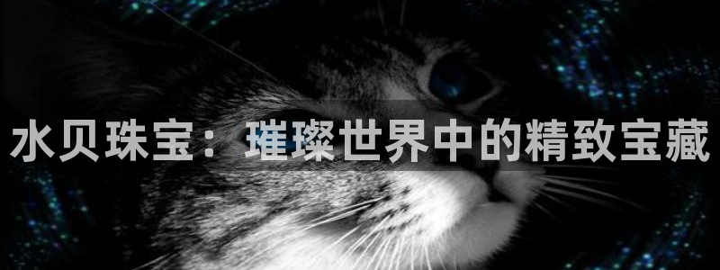 天宏娱乐直播在线观看