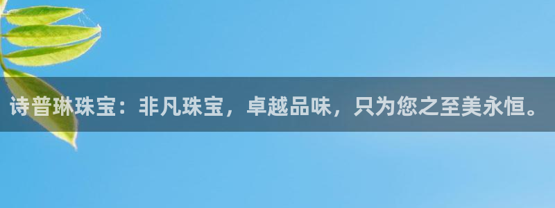天宏娱乐董事长
