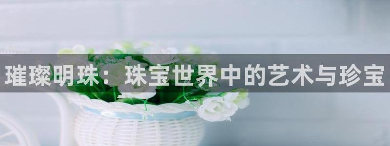 天宏娱乐直播团队介绍