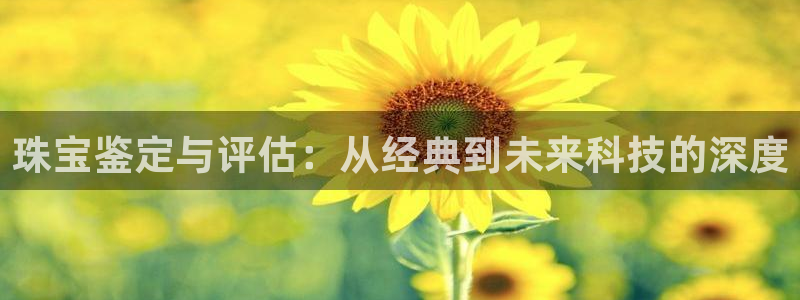 宏天娱乐俱乐部