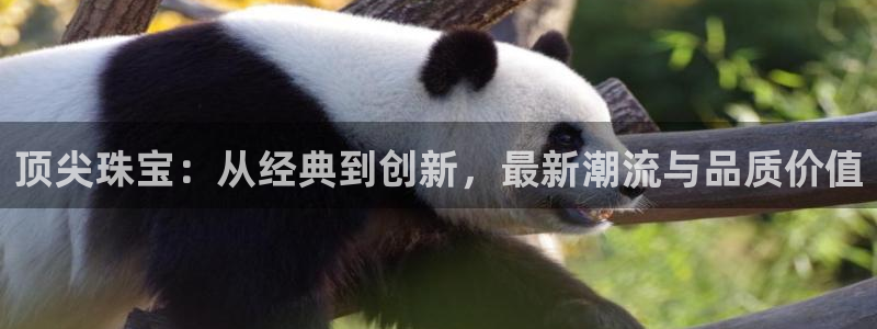 裕宏娱乐林天俊