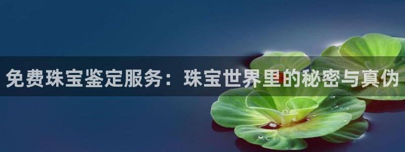 天宏娱乐老板朱俊伟