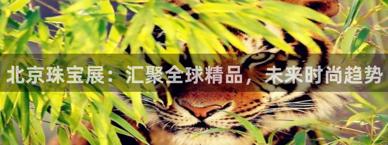 天宏娱乐有明星吗