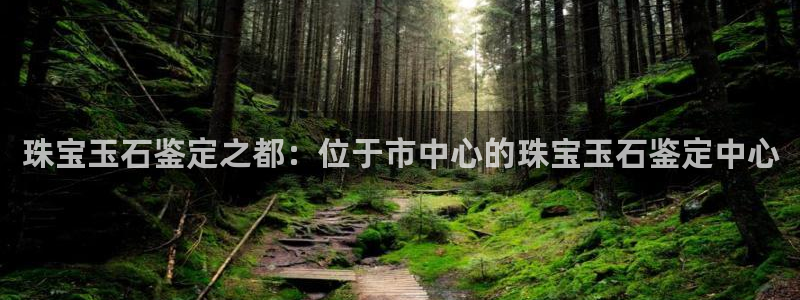 天宏娱乐魂师对决