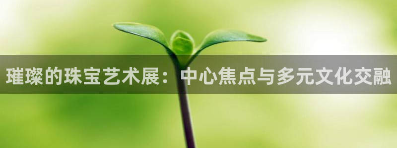 天宏娱乐指定千捷网络