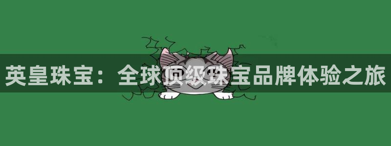 天宏娱乐金大叔