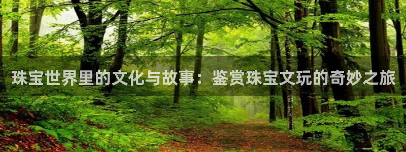 天宏娱乐宋善良