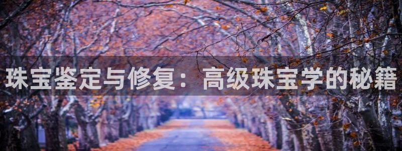 天宏娱乐董事长